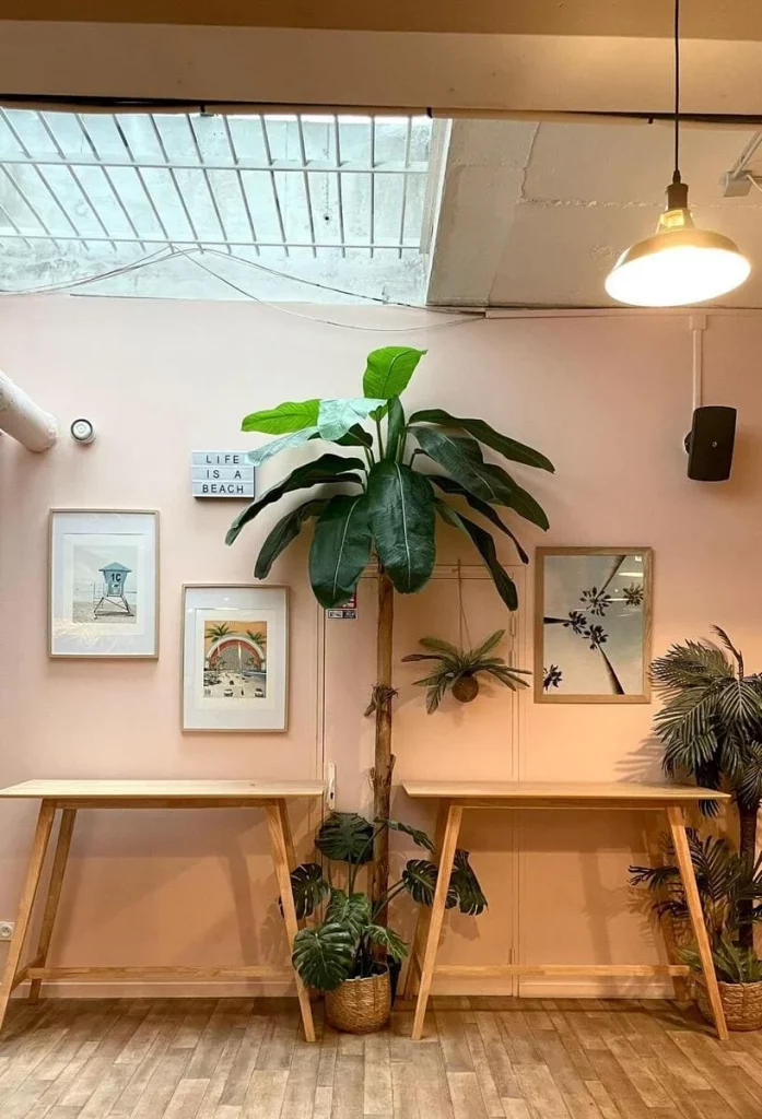 WhatsApp Image 2025-11-10 at 12.08.56