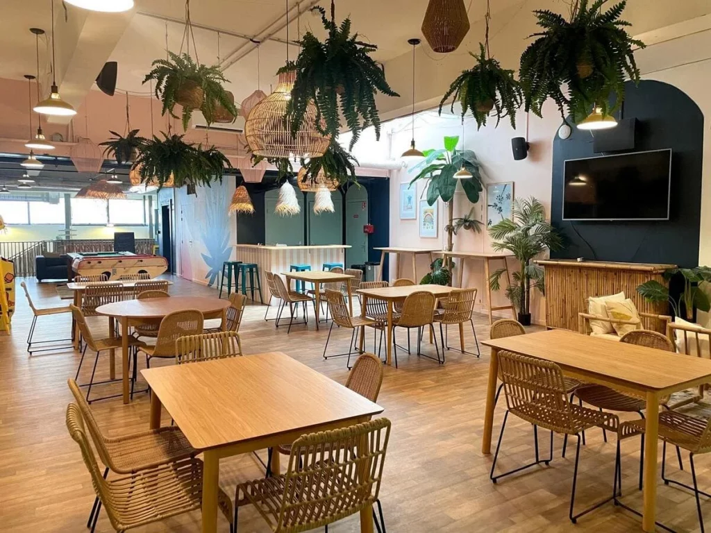 WhatsApp Image 2025-11-10 at 13.24.10 (4)