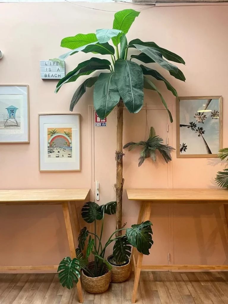 WhatsApp Image 2025-11-10 at 13.24.11